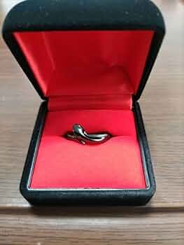 Vamprose LILITH ∞ 16号 / hyde リリス リング LILITH ∞【SV-PH / シルバーポリッシュ】 | HYDE