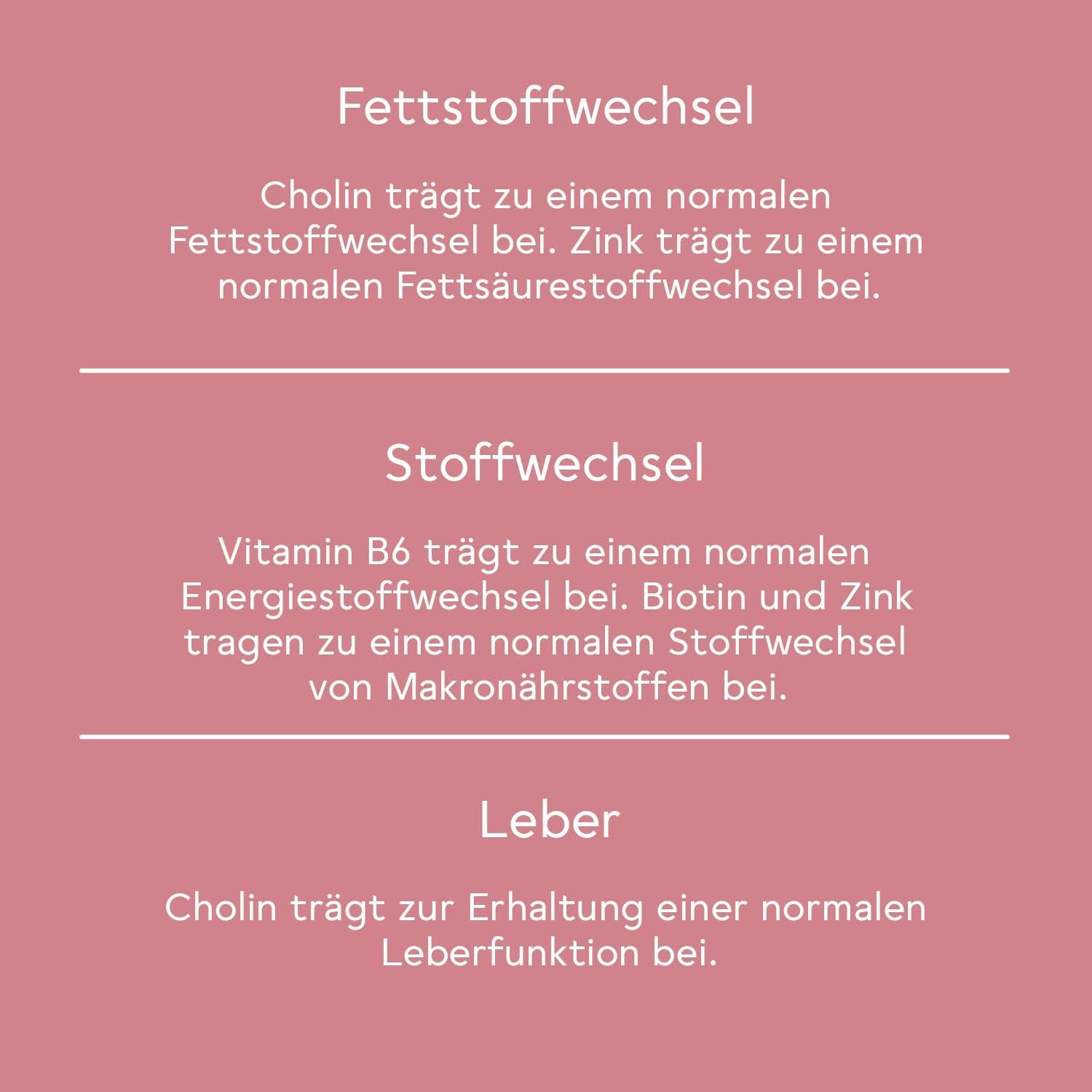 BitterLiebe® Bitter Stoffwechsel * Komplex - 90 hochdosierte Kapseln mit Cholin, Zink, Vitaminen & Bitterstoffen - Für einen normalen Fett- und Energiestoffwechsel * - Vegan & Made in Germany