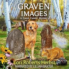 Page de couverture de Graven Images