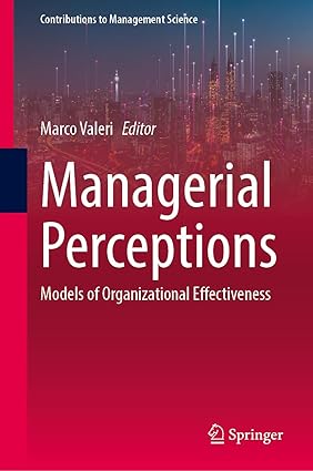 Managerial Perceptions: Models of Organizational Effectiveness (Contributions to Management Science)-Wow! eBook