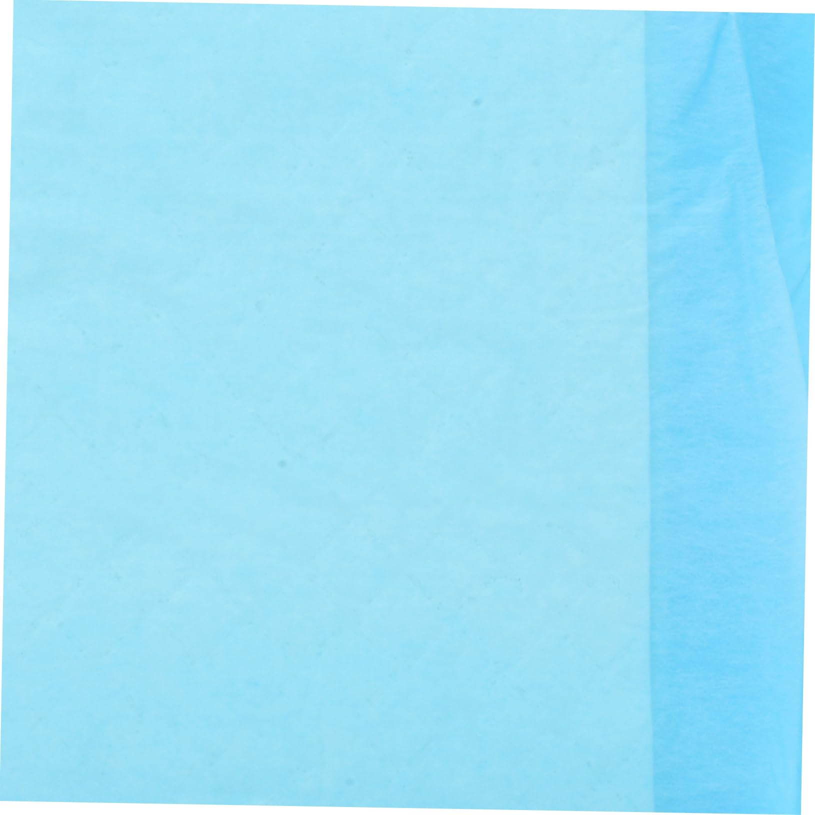 100 Pièces, Absorbants pour Pipi De Chiot, D'entraînement pour Pipi De Chaton À Usage Unique, D'entraînement pour Chien