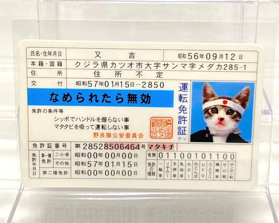 なめねこ 運転免許証風カード 2017年 Amazon.co.jp: レトロ なめ猫 免許証風カード 又吉 : ペット用品