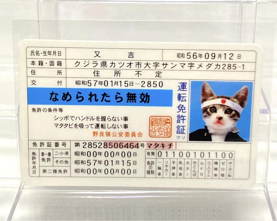 Amazon.co.jp: レトロ なめ猫 免許証風カード 又吉 : ペット用品