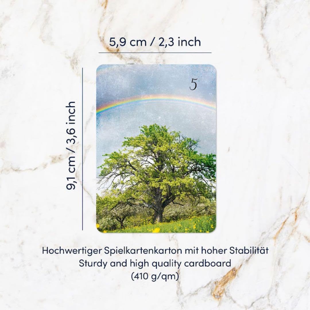 Amazon.co.jp: リヒトブリックルノルマン＊ルノルマンカード