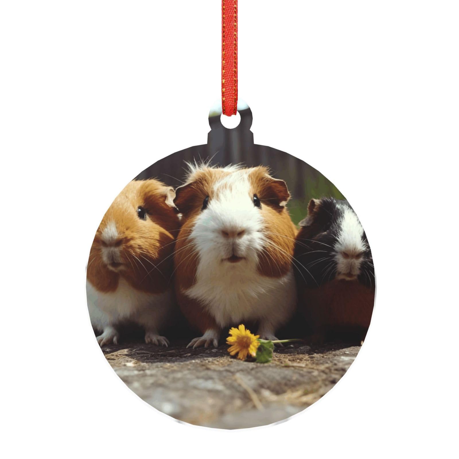 Acrylic Ornament Christmas Tree Decoration Clear Round Pendant with Red Ribbon Guinea Pigs Funny Christmas Ornaments Indoor Outdoor Hanging Acrylic Pendants for Xmas Party Decor