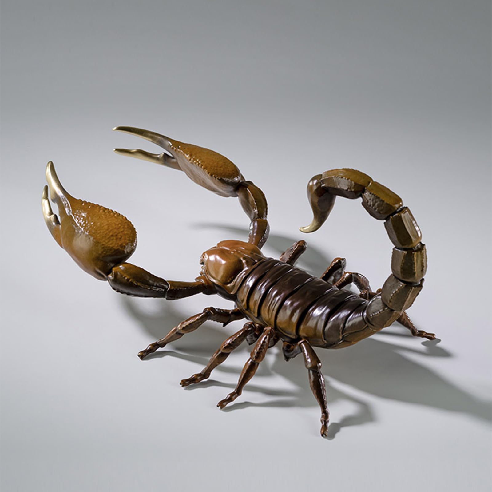 サソリの置物 61XHB1peG2L._UF894,1000_QL80_.jpg