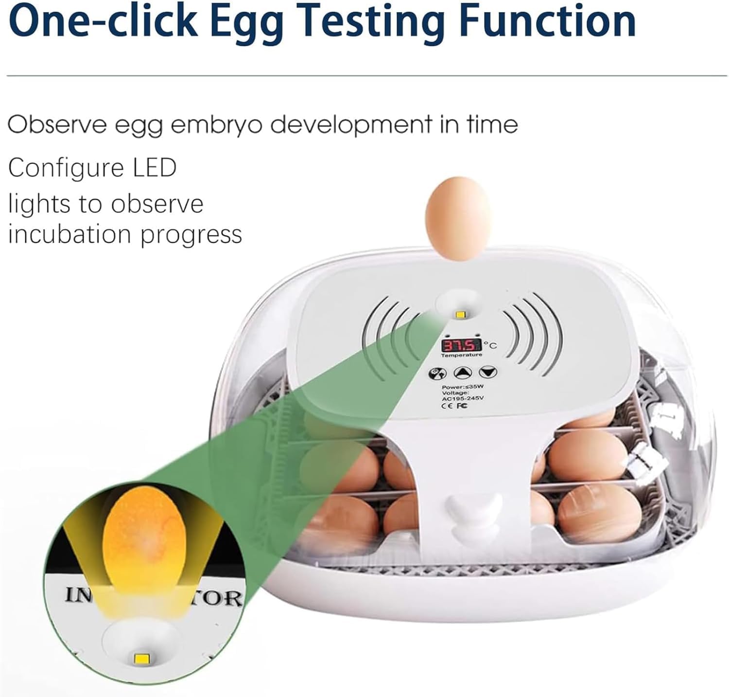 Incubadora digital de huevos para 16 huevos con volteador automático y control preciso de temperatura, incubadora de mesa para huevos de aves de corral