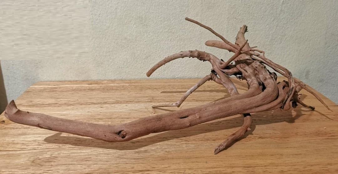 DEZIINE®1Pcs Natural Large Driftwood for Planted Aquarium Decor Reptile Decor (Beige 7-12" Long Approx) (B0B5T65J7H) Amazon Price History, Amazon Price Tracker