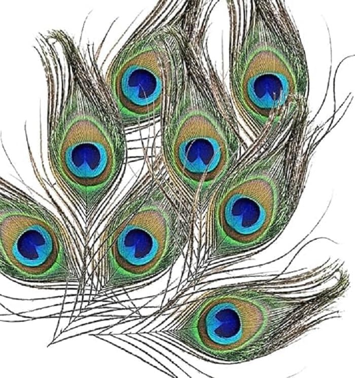 Best Janmashtami Decorations from Amazon India 33 Cutting Original Mor Pankh, Real Peacock Feathers Tails for Good ...