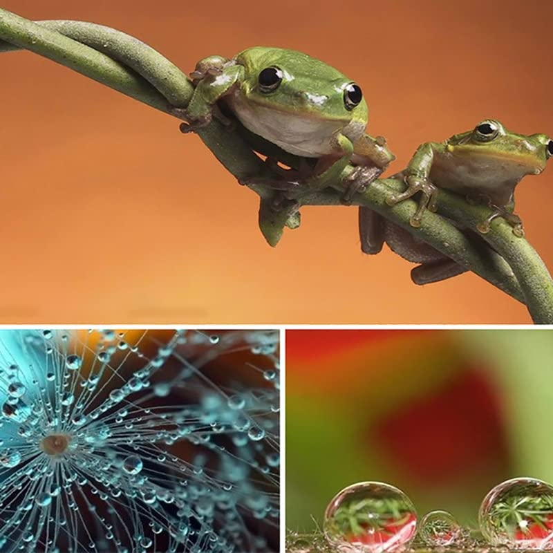 Obiektyw zbliżeniowy, szkło optyczne, filtr makro, akcesoria do fotografii zdjęć z bliżenia, skraca odległość fotografowania (rozmiar: 82 mm)