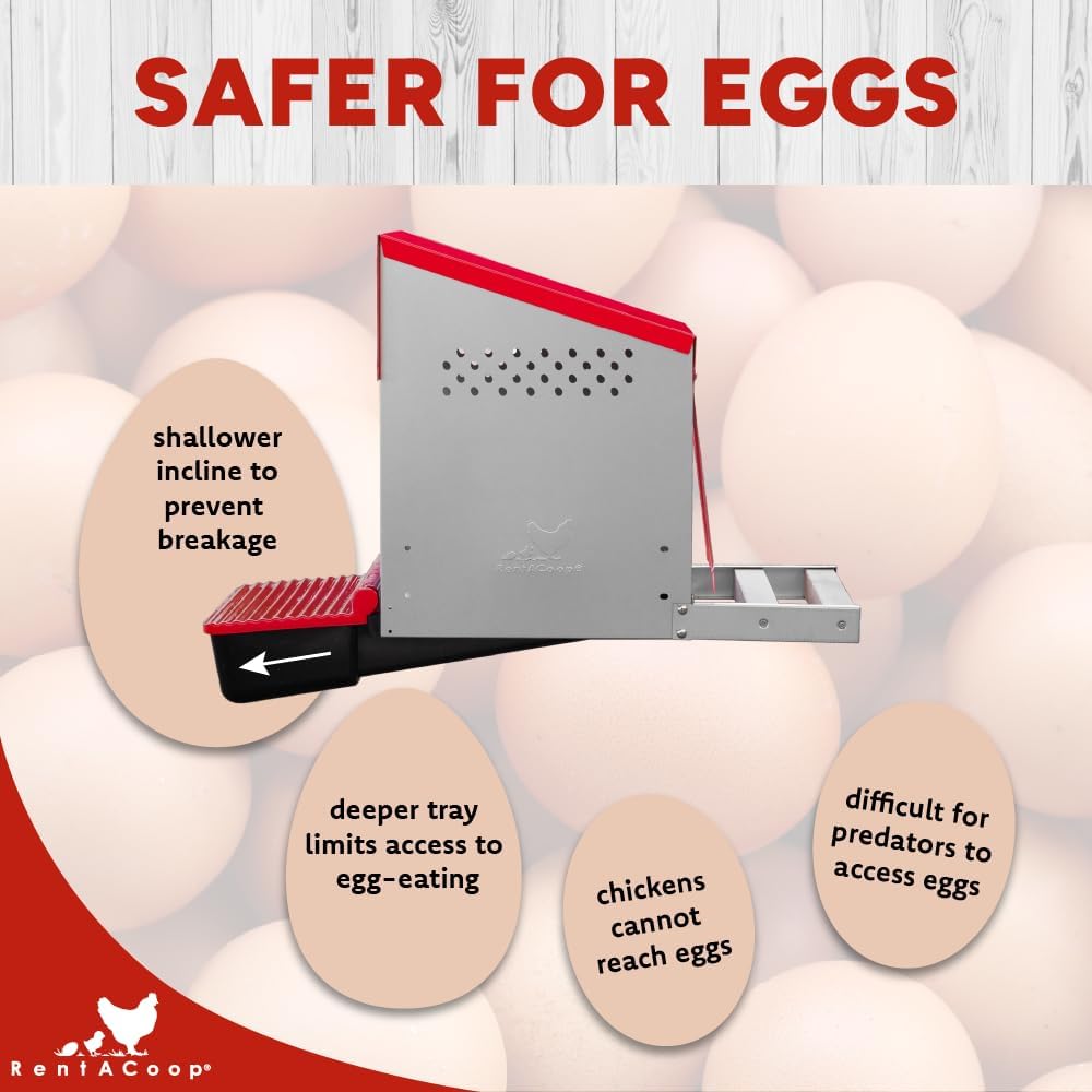RentACoop Roll-Out Reversible Nesting Box Efficiency (One Compartment) for Chickens, Ducks, Poultry