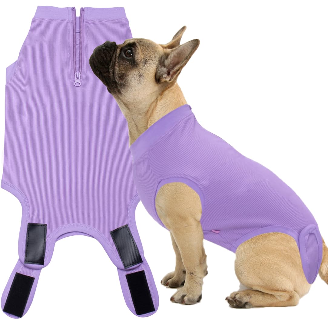 Recovery Suit for Female Dogs, Dog Cone Alternative After Spay