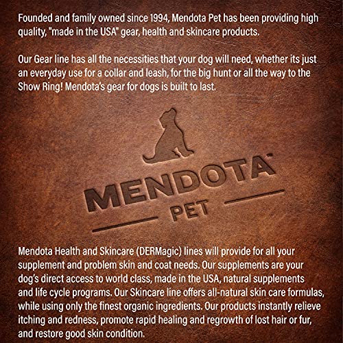 Mendota Pet Schnappleine, Lila, 0,95 cm x 1,8 m