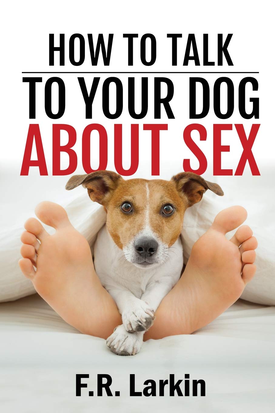 How to talk to your dog about sex. (Heat and Stir)