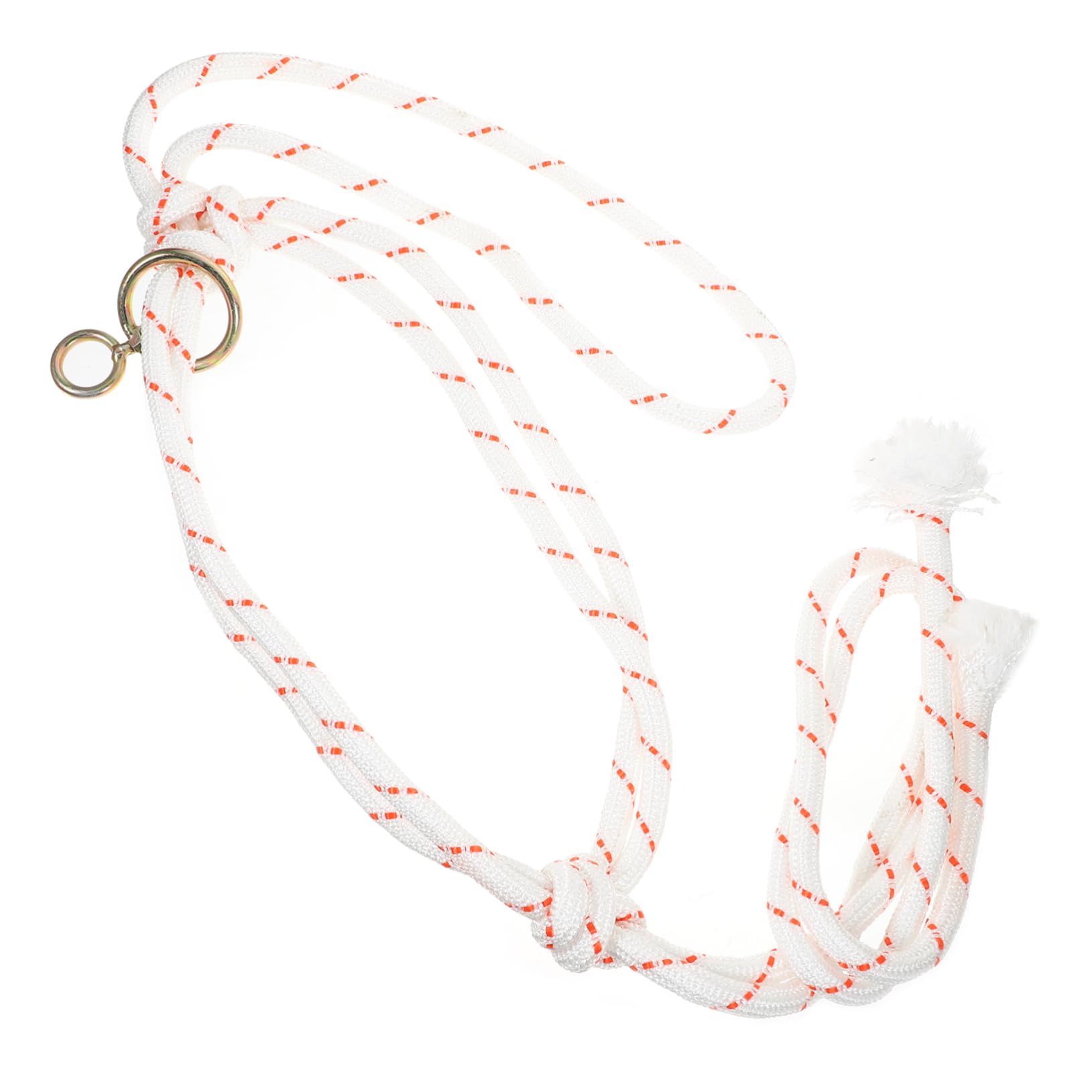 UPKOCH 4 Pezzi Cavezza per Mucche Resistente e Sicura Accessorio per Allevamento Facile da Usare e per Proprietari Bestiame e Amanti Animali
