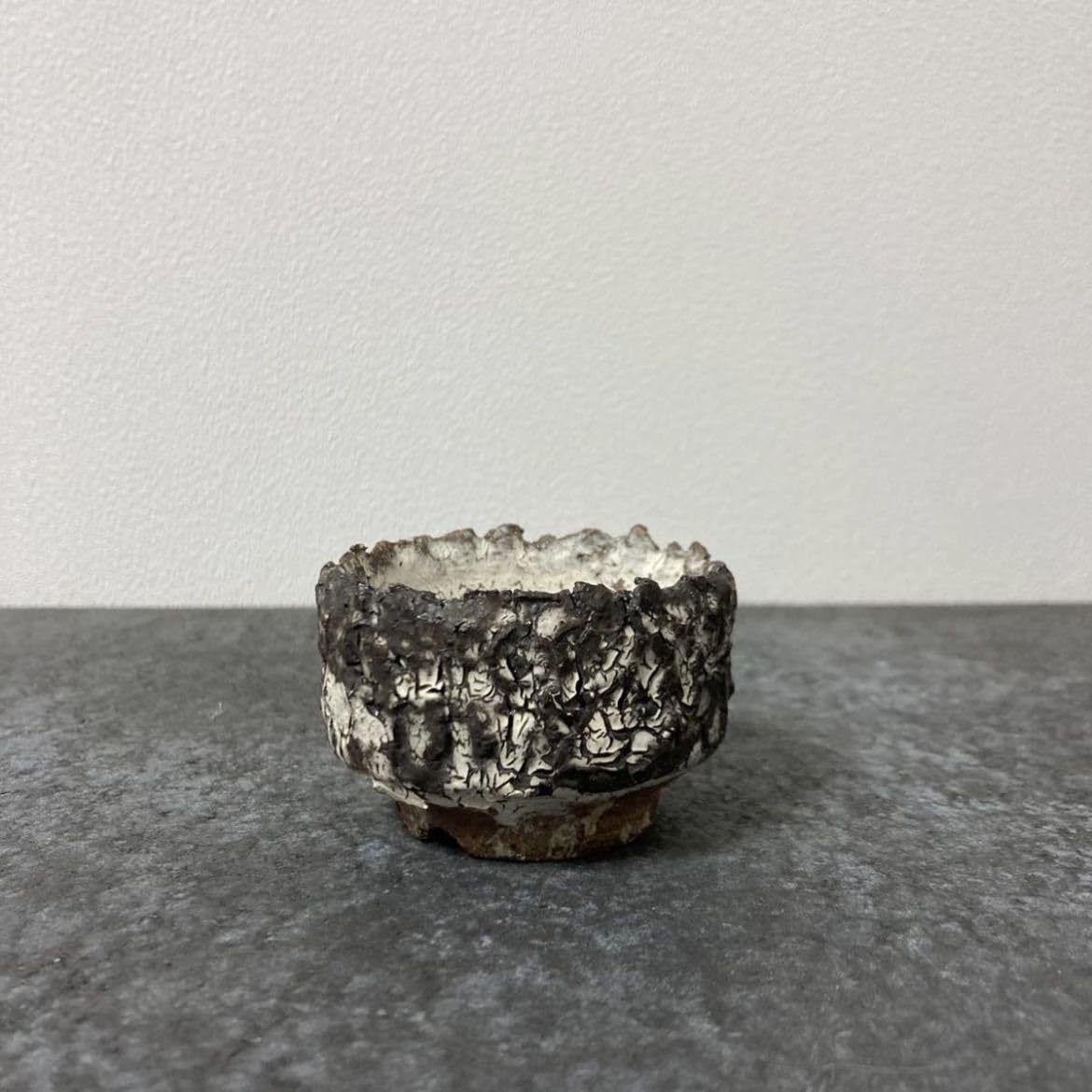 パキポディウム　グラキリス　扁平　阪本健　鉢 Amazon.co.jp: 阪本健y鉢 陶器鉢 檢)invisible ink invisibleink raw