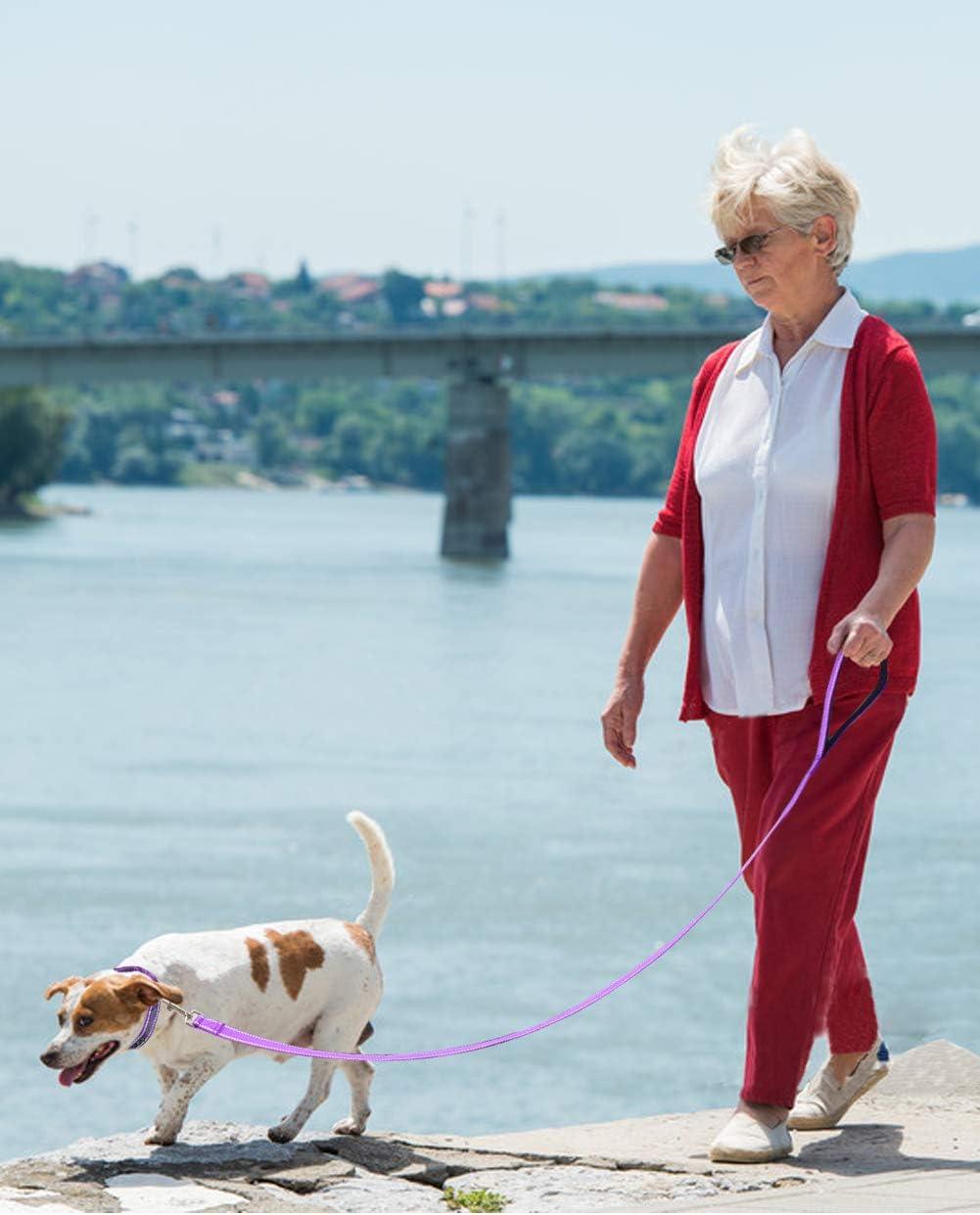 Taglory Dog Leads for Medium Large Dogs, Purple, 180x2.5 cm (Pack of 1) - Image 3