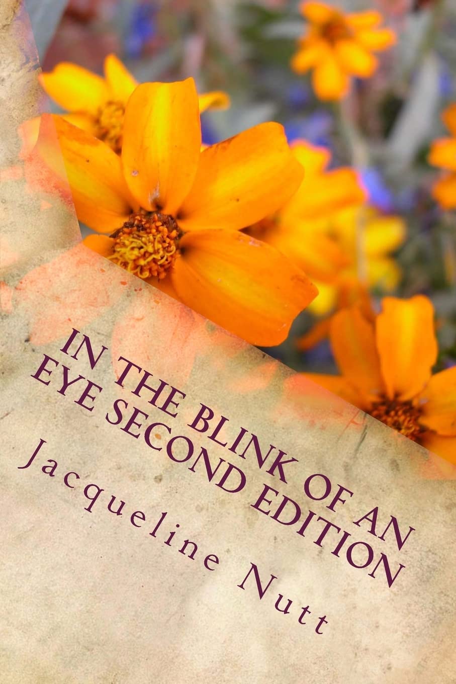 In the Blink of an Eye Second Edition: Volume 2