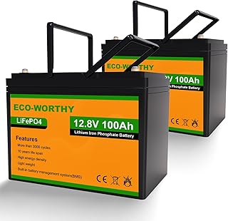 ECO-WORTHY (2 pack) 12V 100Ah LiFePO4 Lithium Iron Phosphate Batteries with Built-in BMS, over 3000 Life Cycles Deep Cycle Rechargeable Battery Perfect for RV, Marine, Motorhome, Household Battery