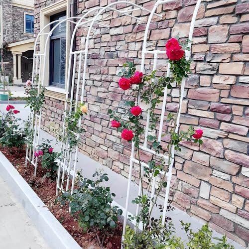 Arco de jardín resistente para plantas trepadoras, 90 x 240 cm, arco de rosas blancas, fácil de montar, arco de boda para césped, patio y terraza, decoración al aire libre