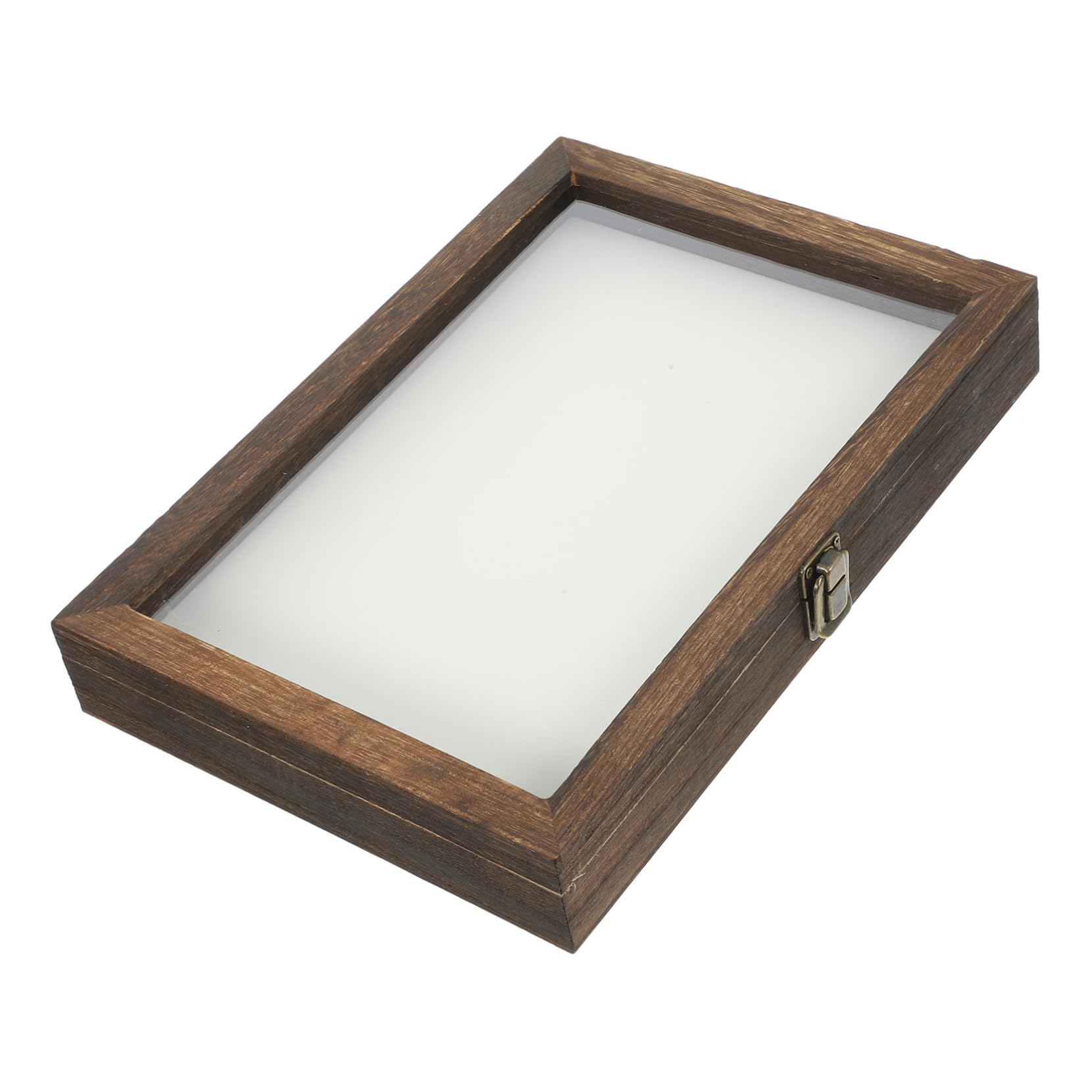SOLUSTRE Butterfly Case Lid Specimen Frame Wall Hanging Display Acrylic Insect Box Style