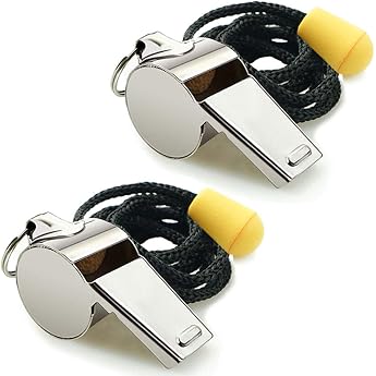 Whistle Pack of 2 Stainless Steel Sports Whistles with Lanyard Loud Crisp Whistles Ideal for Coaches Referees and Officials Silver Stainless Steel
