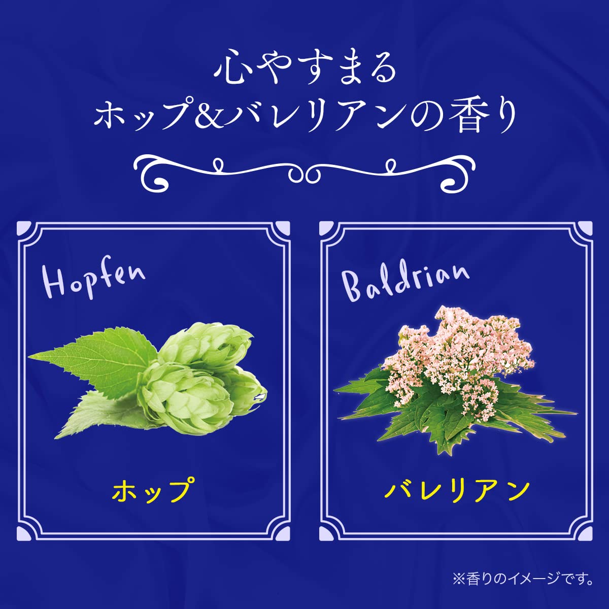 Amazon | クナイプ(Kneipp) クナイプ グーテナハトボディクリーム