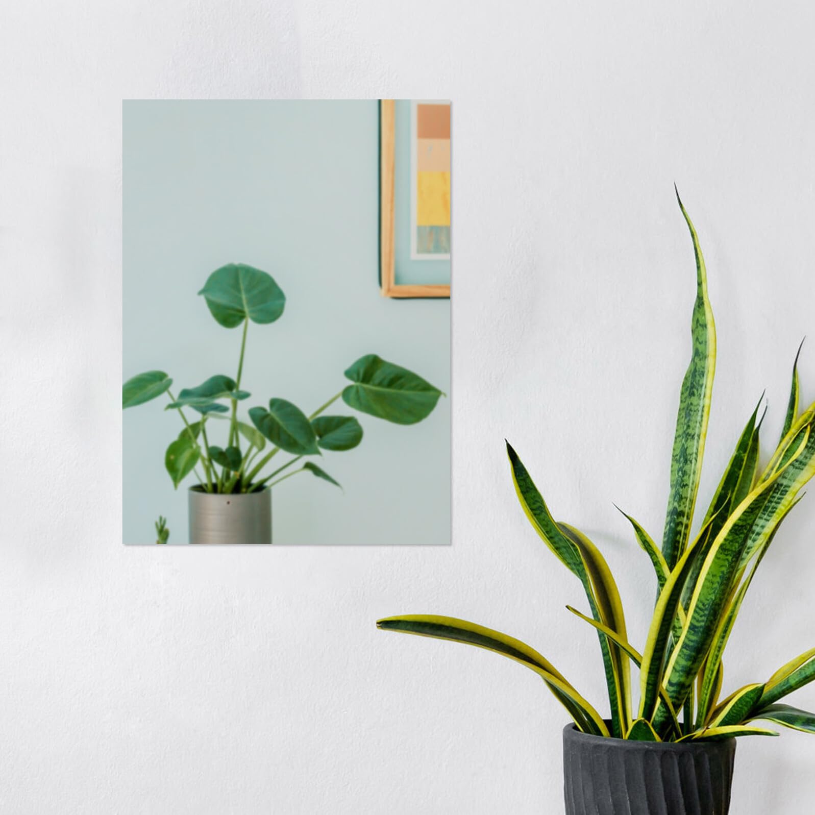 2stücke Teiliges aus Acryl-wandspiegeln Selbstklebende Dekorative Spiegelplatten für Schlafzimmer Badezimmer und Fitnessstudios