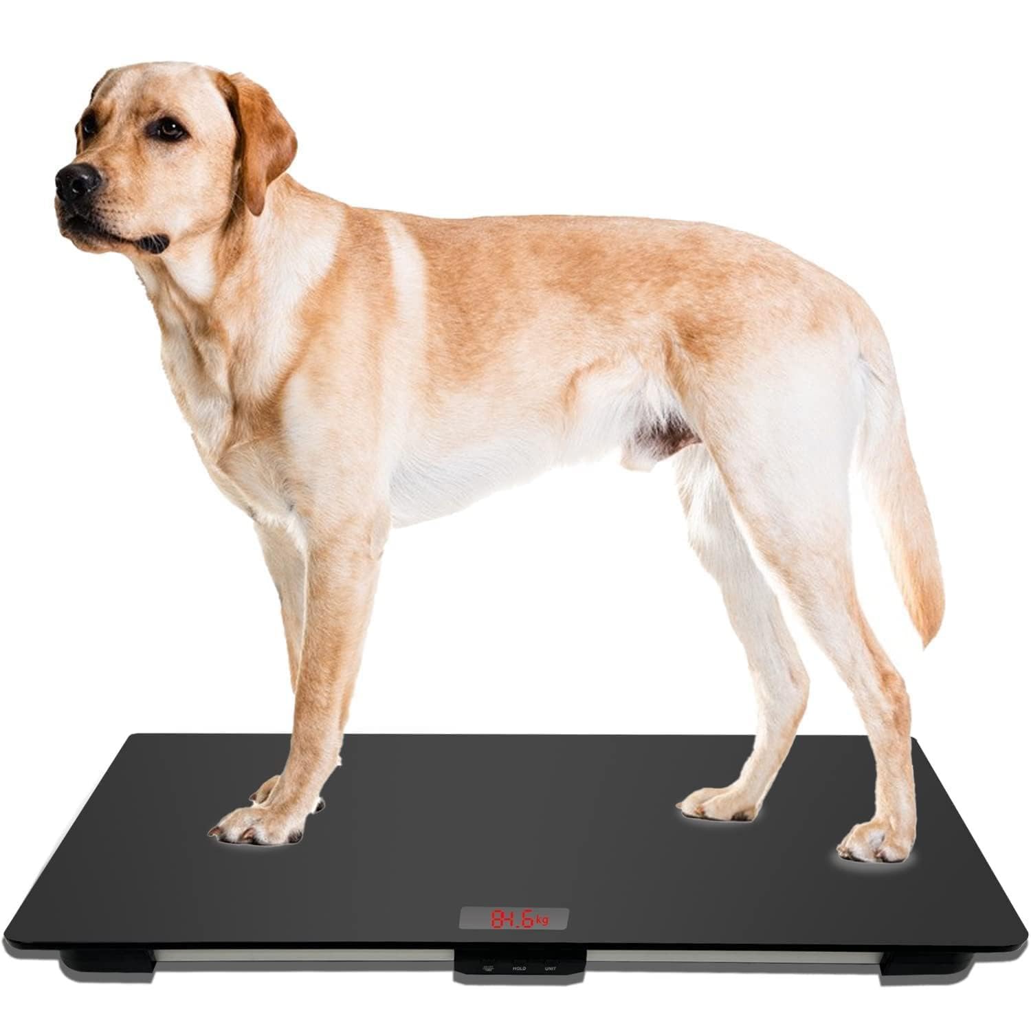 Digital Dog Scale, Animal Scale Platform with 3 Weighing Modes, kg, oz, lb,  220 Pound, lbs, Capacity with Precision of 10g, Black : Amazon.sg: Health,  Household and Personal Care