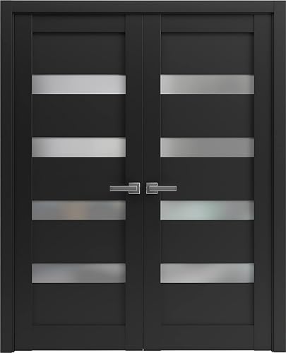 SARTODOORS Puertas dobles francesas interiores sólidas de 48 x 80 pulgadas | Quadro 4113 negro mate vidrio esmerilado marco armario dormitorio