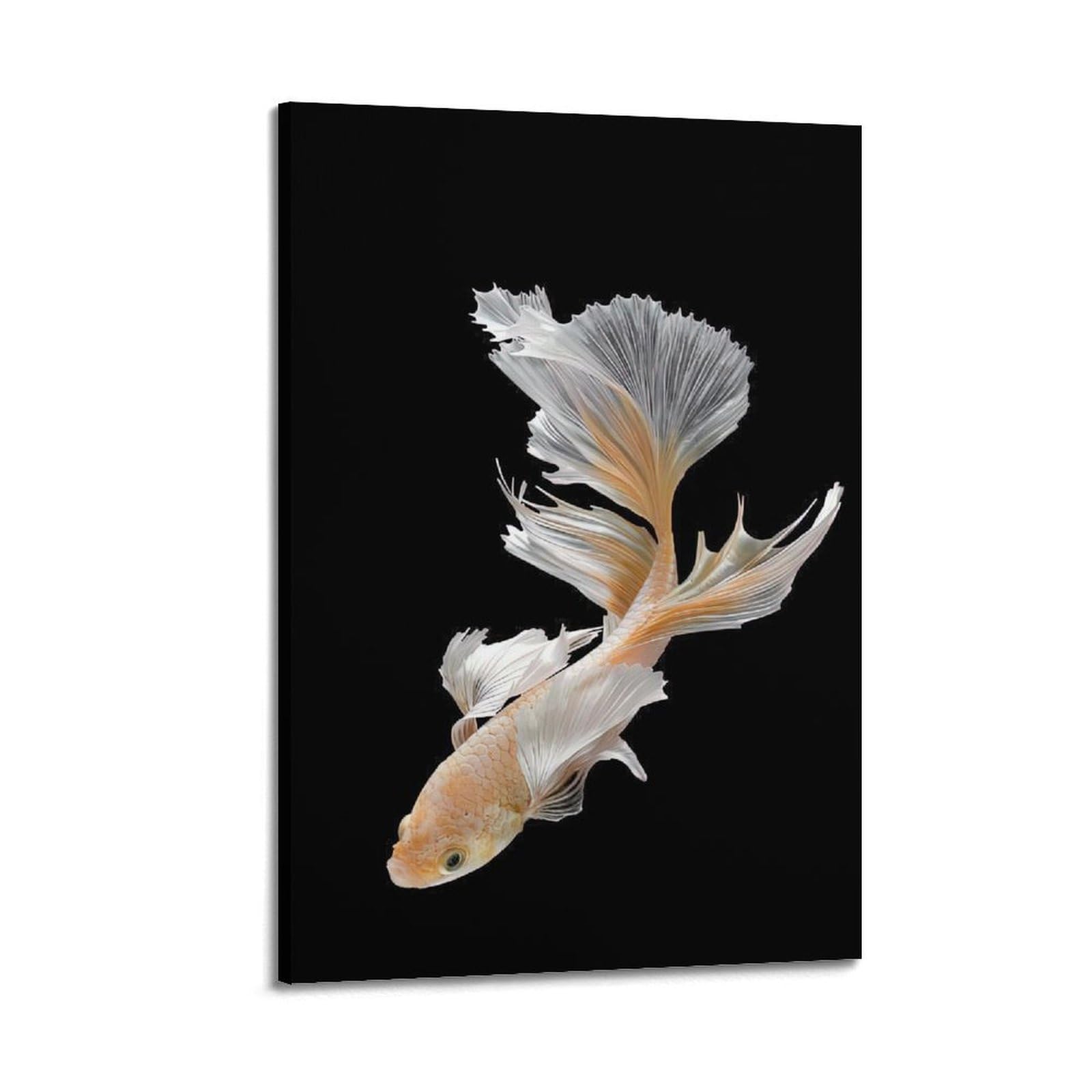 CPGLJD Marine Animal Poster Golden Betta Splendor Poster Decorative Painting Canvas Wall Posters And Art Picture Print Modern Family Bedroom Decor Posters 20x30inch(50x75cm)