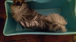 Review Image by Texas Flounder