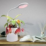 Simulación de luz solar: añade LED de espectro completo que a las plantas les gusta. La luz de la planta está más cerca de la luz natural, más uniforme y suave, puede promover el crecimiento de la planta. Y casi no utiliza energía, ya que es alimentado por cada cable USB de 7 W de potencia, lo que significa que solo costará centavos un mes de uso.