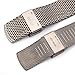 THEAGE Titanium Mesh Watch Band for Mens Women, Mesh Watch Straps (21mm)