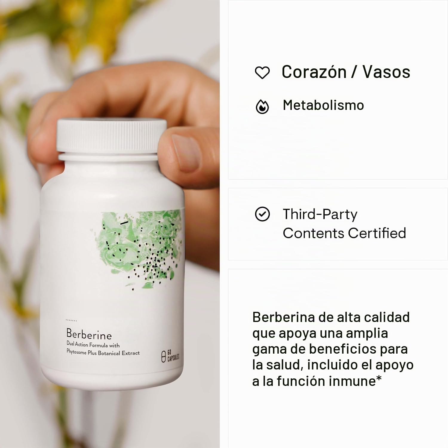 Berberina – Fórmula de doble acción con Phytosome más extracto botánico – Apoya la salud cardíaca, el sistema inmunológico, el tracto gastrointestinal sano – Sin gluten, Sin lácteos
