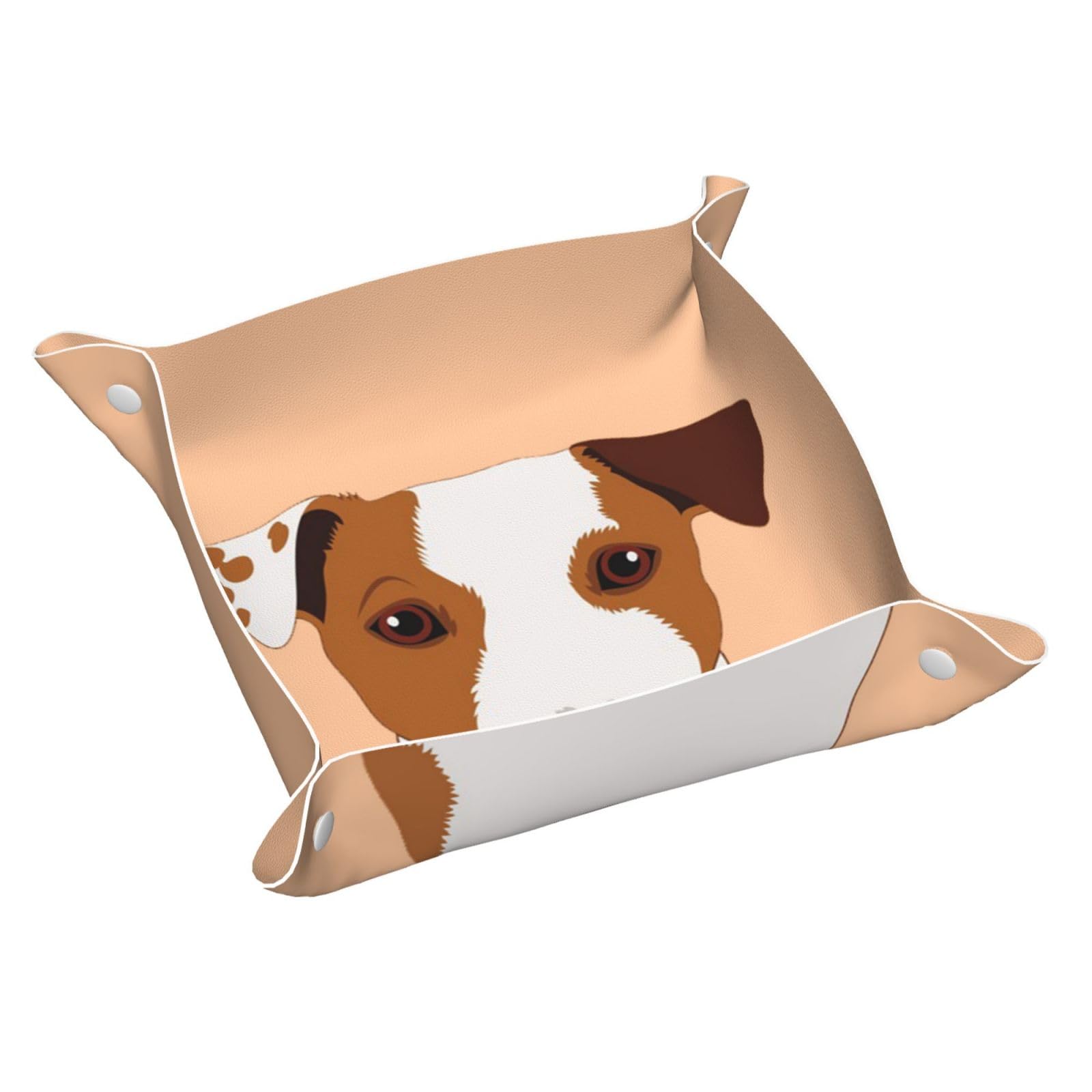 Inomak As Picture Jack Russell Terrier Dog, Leather Storage Tray Jewellery Organiser Desktop Catchall Tray, Dresser Organizer Plate,S