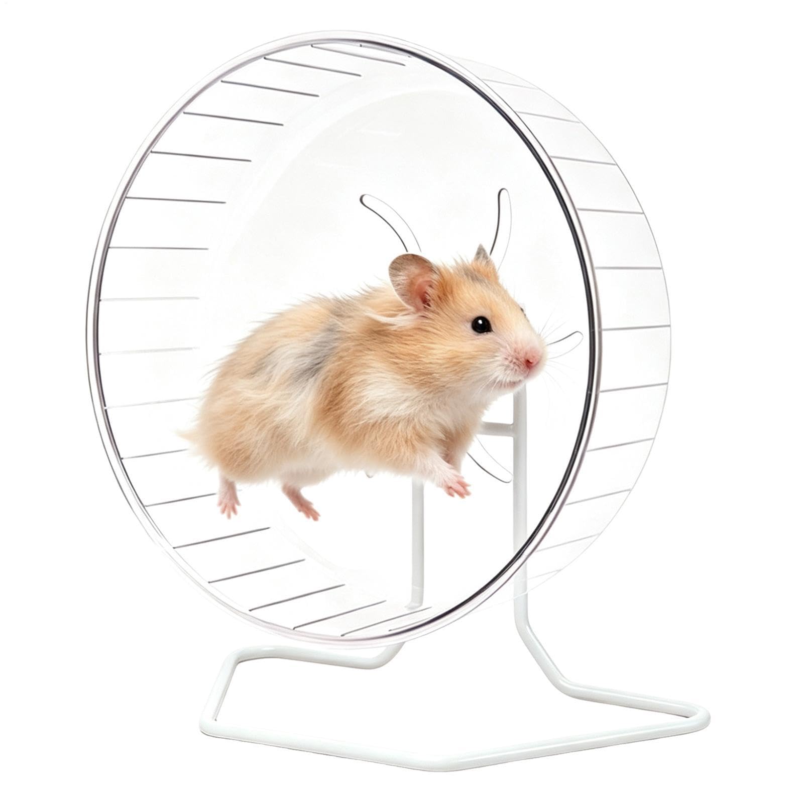 Ruote criceti Corsa Silenzioso Trasparente Con Supporto | Piccola Ruota Criceti Per Gerbilli, Topi, Petauro dello Zucchero, Riccio, Furetto, Coniglio e Altri Piccoli Animali