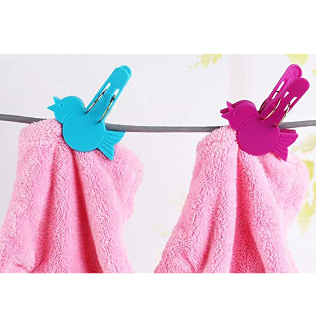Amazon.co.jp : 鳥の洗濯バサミ、10枚のフォトペーパーペグピンフード