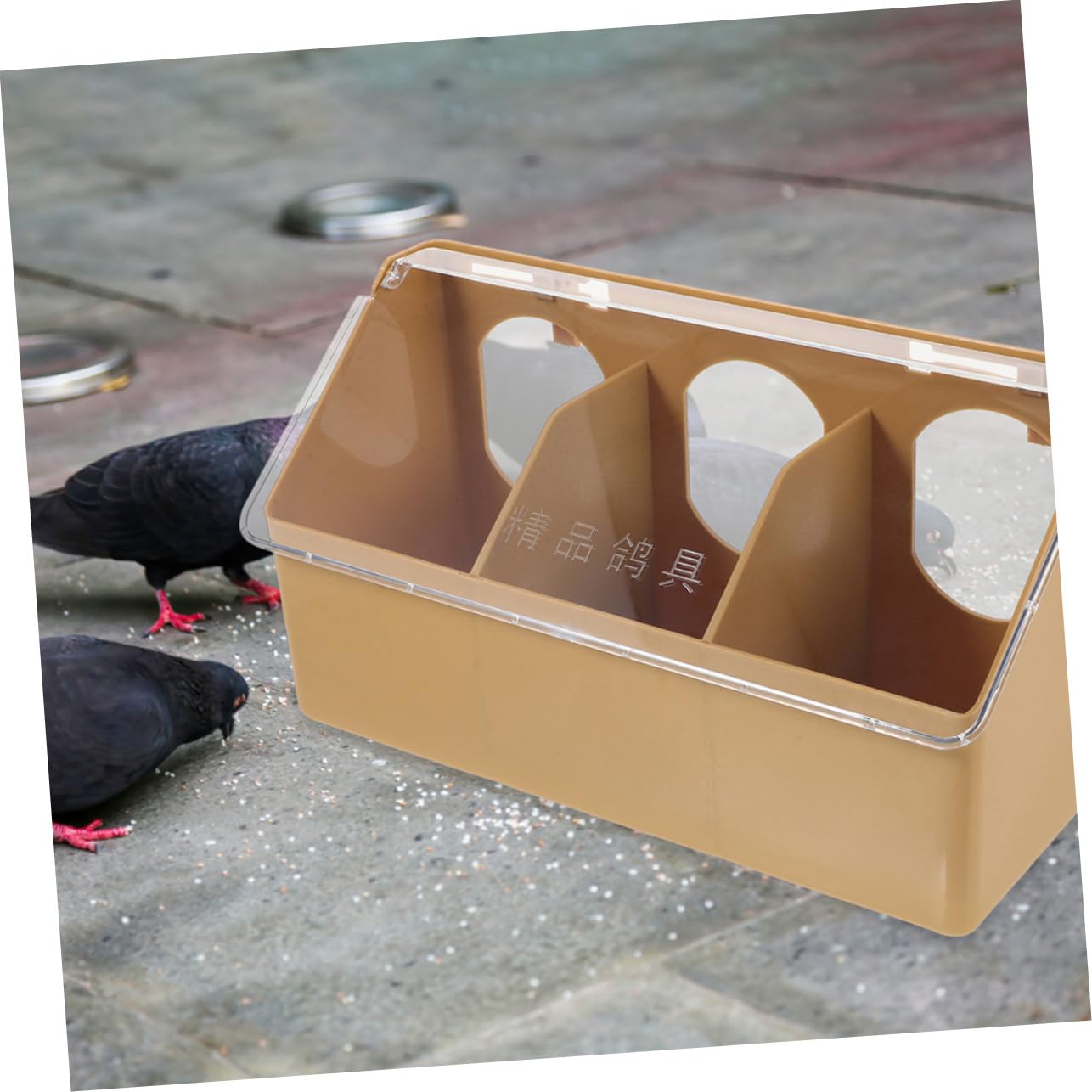 Comedero de Jaula para Codornices Multifunción Tapa 2 Piezas | Plástico Marrón, para Jaula de Pájaros y Mascotas, Resistente al Tamizado, Apto para Comida y Verdura