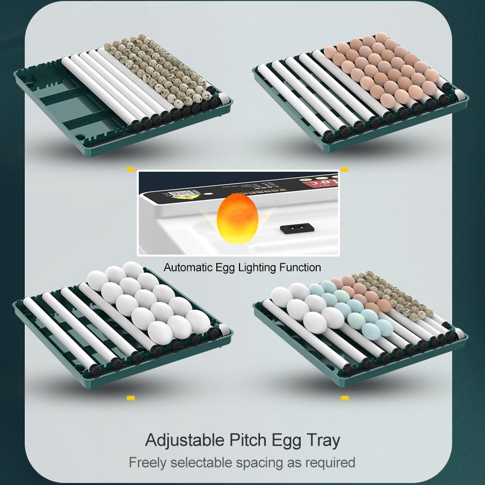 CcacHe Incubatrici Automatiche per Uova, incubatrici per Uova con giratore di Uova/riempimento Automatico dell'Acqua/Controllo della Temperatura/Illuminazione a LED, per polli Anatre oche Uccelli,6