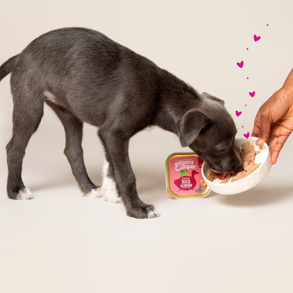 Edgard Cooper Nourriture Humide Naturelle pour Chien (Canard et Poulet, 11 x 150 g) sans céréales et sans Gluten, ingrédients naturels et Viande fraîche, Plein d'acides aminés Essentiels pour Un