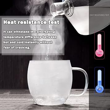 Glass Tea Cup with Infuser and Lid, 17 oz Clear Loose Leaf Tea Infuser Mug