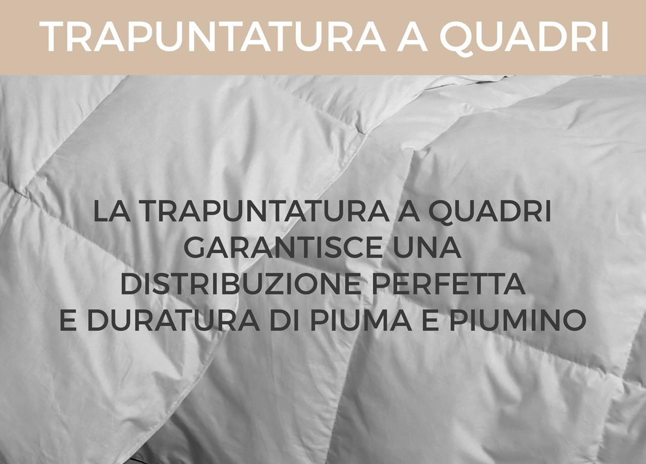 BIANCHERIAWEB Interno Imbottitura Piumino Invernale 300gr/mq in Piuma D'Oca Bicolor 1 Piazza e Mezza Tortora-BX