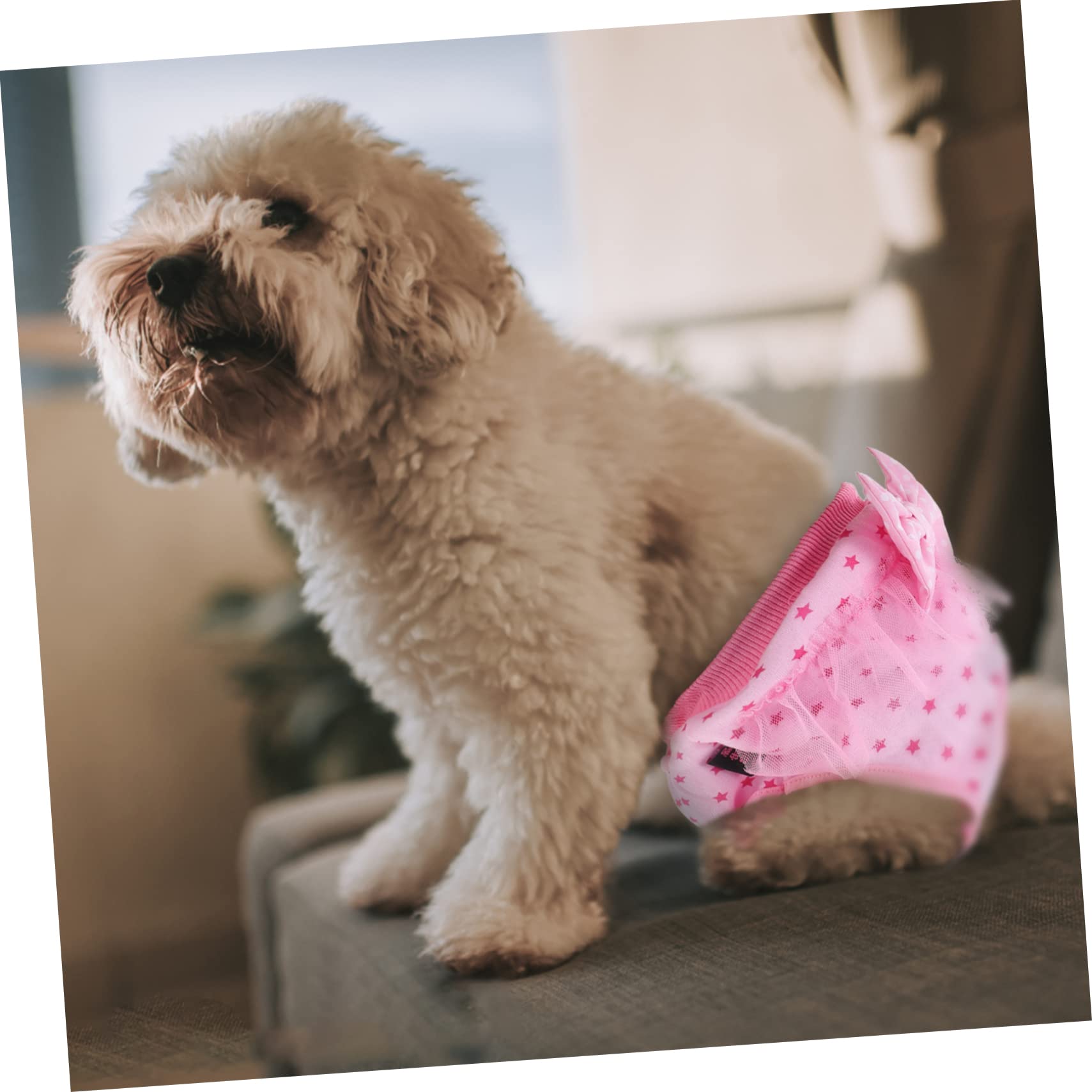 ifundom Pet Dog Diapers for Female Dogs Breathable Sanitary Period Pants Comfortable and Absorbent for Pets Washable Design Protects Floors from Stains