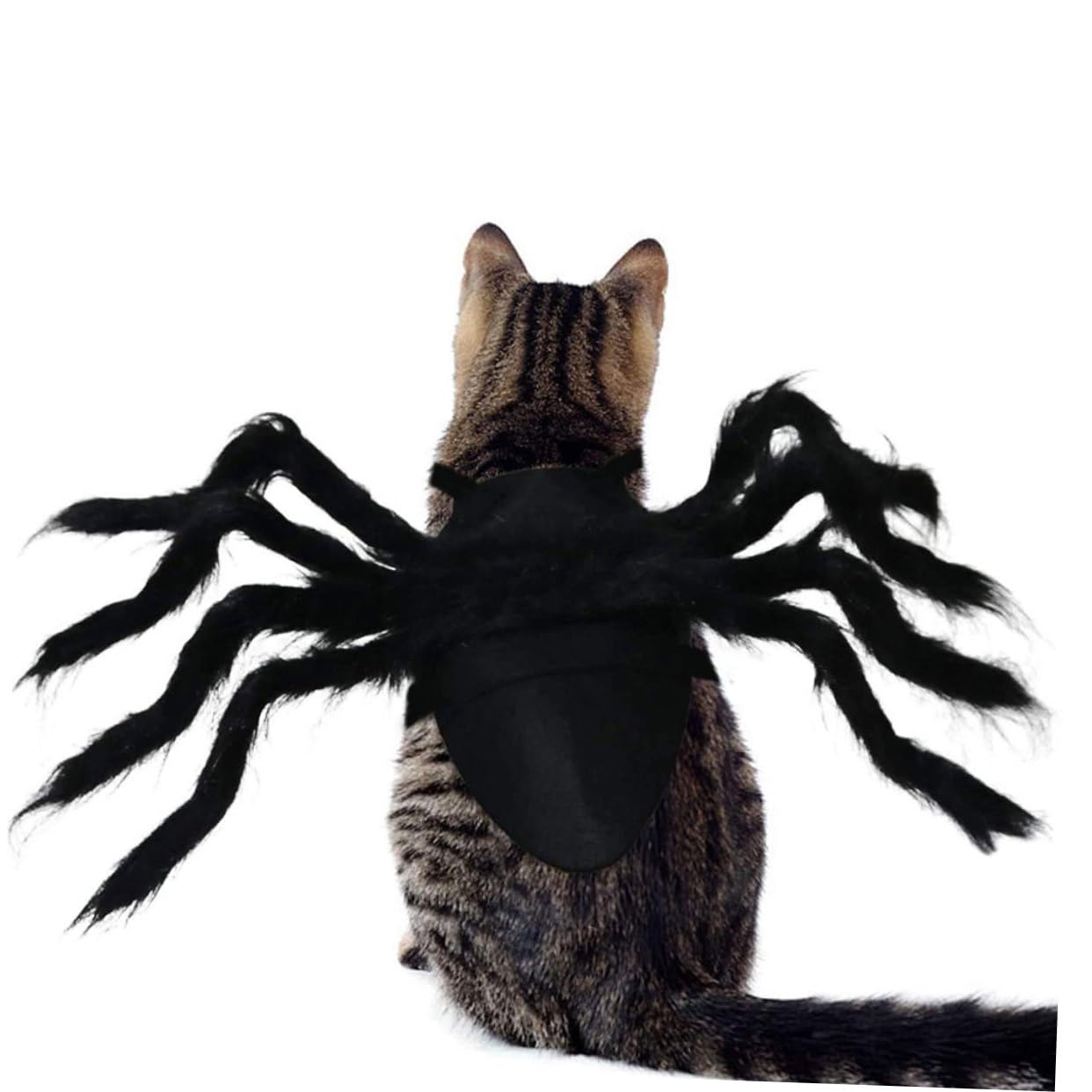 INOOMP 3pezzi Costume Per Domestici Decorazione Per Abbigliamento Per Halloween Realistico Facile Indossare Per e Celebrazioni