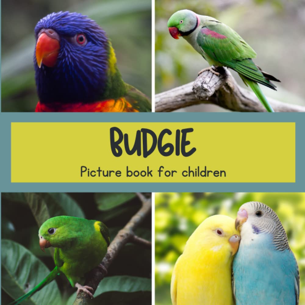 Picture book for children -Budgie: Discovering Budgie in pictures - Children 2 to 5 years old