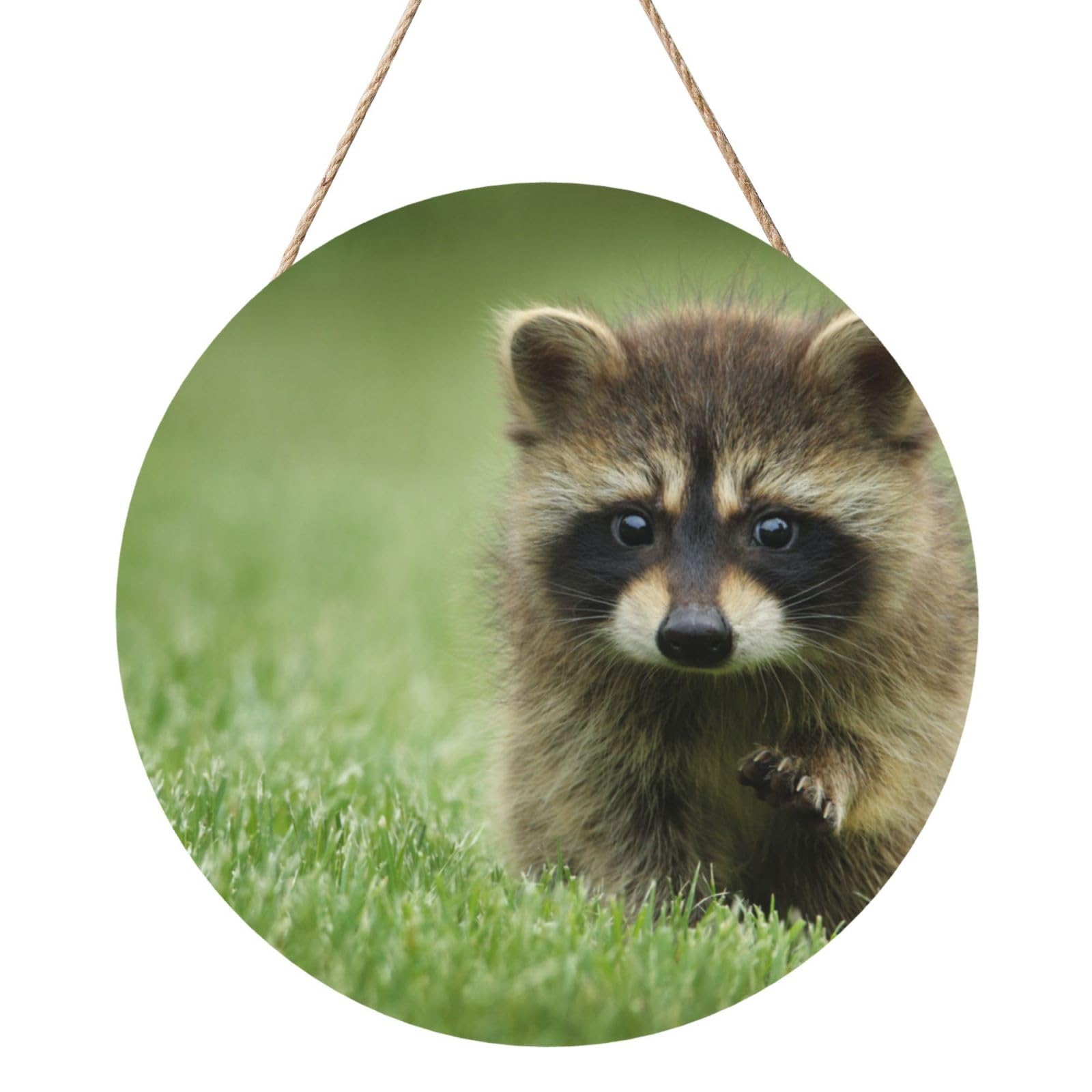 InOmak Cute Raccoon Fashion Printed, Round Wood Panel Painting 12 in, Wall Hanging Painting For Home