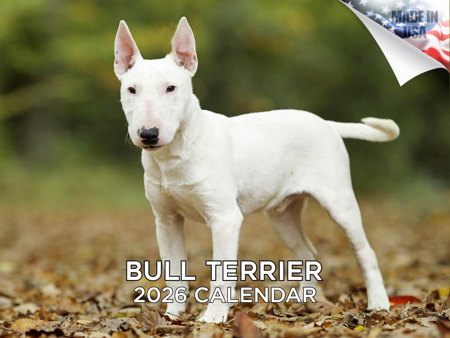 2024 2025 Bull Terrier Calendar - Dog Breed Monthly Wall Calendar - 12 x 18 Open - Thick No-Bleed Paper - Giftable - Academic Teacher's Planner Calendar Organizing & Planning - Made in USA