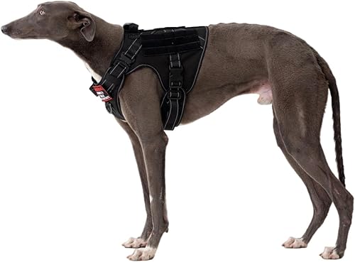 Ohmopie Arnés táctico para perro mediano y grande, arnés ajustable con clip trasero y clip frontal, hebilla de metal resistente, chaleco Molle con