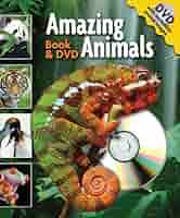 Animal Communication DVD・テキストブック Animal Communication DVD・テキストブック Amazon.com: Animal